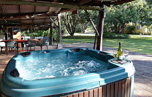 Daintree Valley Haven Pic 5 - Jacuzzi and Barbeque