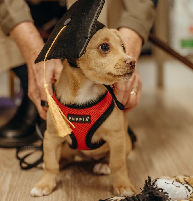 Challenger Veterinary Hospital Pic 1