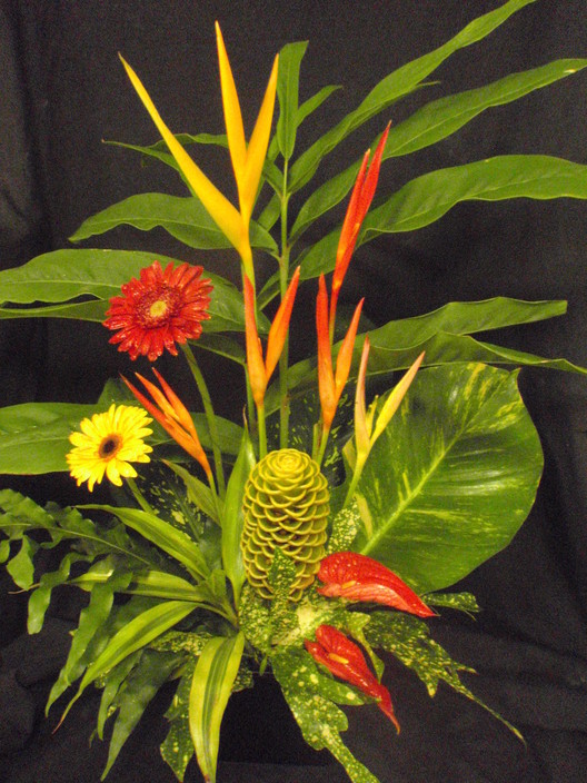 Floristry @  Oria Orchards Pic 1 - Tropical arrangements are our specialty