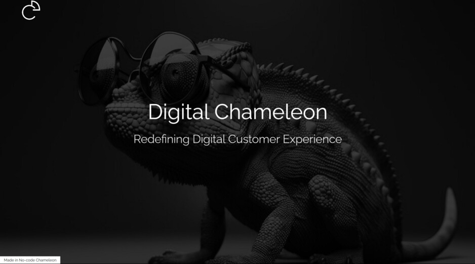 DigitalChameleon Pic 1