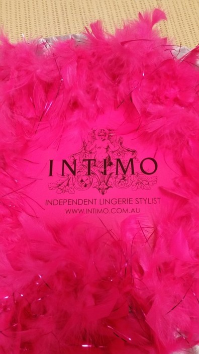 Independent Intimo Lingerie Stylist Pic 1