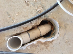 All Pest & Termite Eradication Pic 3 - Termite protection damaged by plumber new home