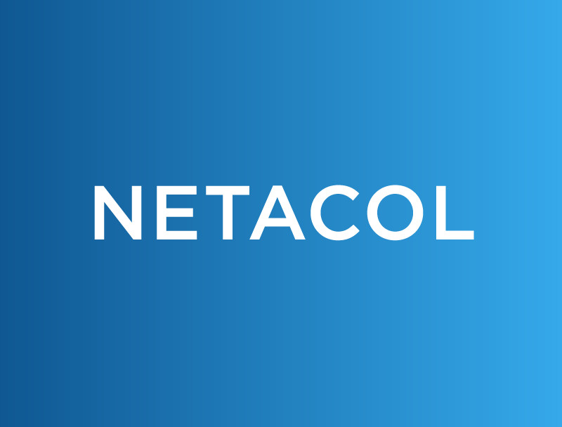 Netacol Web Design Pic 1