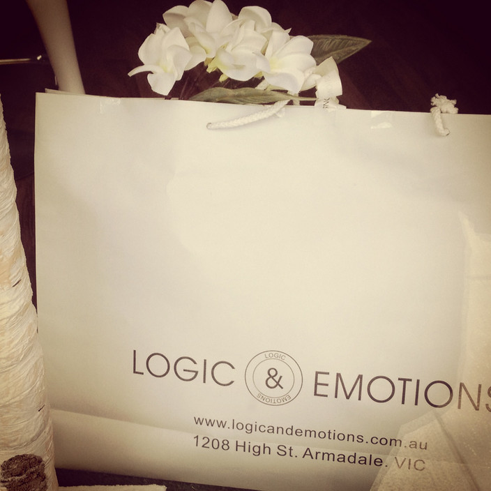 Logic and Emotions Pic 2