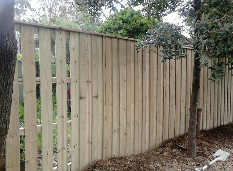 DG Fencing Pic 1 - Lapped and capped