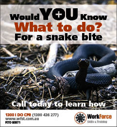 Workforce Skills and Training Pic 2 - Snake Bite First Aid Training