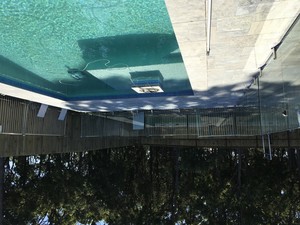 Brisbane Plus Pool Safety Pic 5