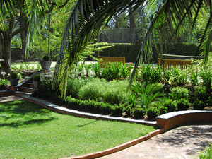 Shane Doody's Mowing & Garden Care Pic 5 - hedging in Brisbane