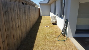 Brad`s Trees and Lawns Pic 4 - After