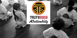 Wollondilly Karate Pic 2