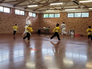 Wollondilly Karate Pic 4