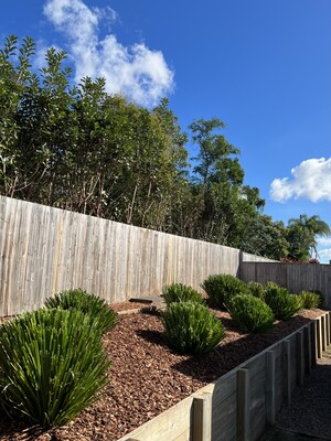 Dylan's Mowing Pic 3 - Gardening