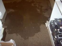 Water Damage Sydney Pic 5