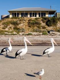 Absolute Beachfront At Hardwicke Bay Pic 1 - Absolute Beachfront at Hardwicke Bay Yorke Peninsula South Australia