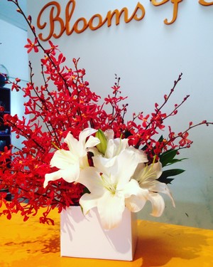 Blooms of Noosa Pic 3 - Red and White Splendour 150