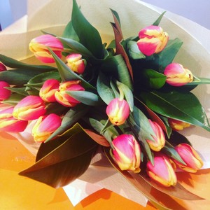 Blooms of Noosa Pic 4 - Tulips for Autumn WinterSpring 60