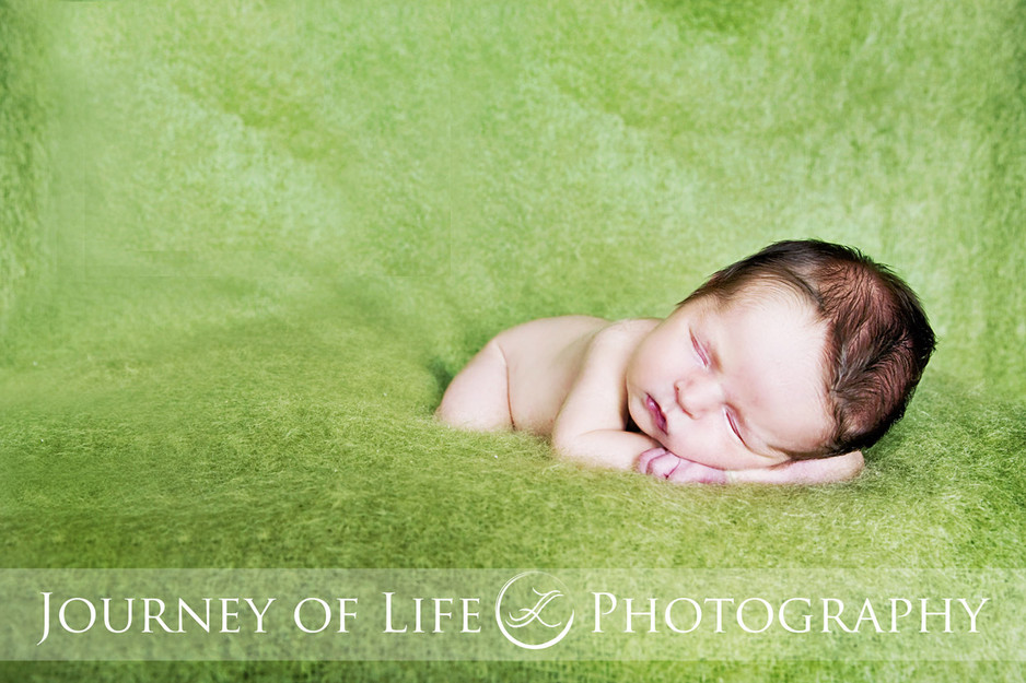 Journey of Life Photography Pic 1