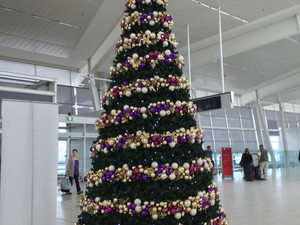 Adelaide Airport Official Car Park Pic 3 - Christmas tree