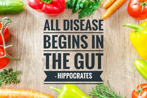 Gut Nutrition and Wellness Pic 3 - All disease begins in the gut