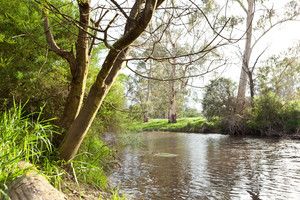 Lonsdale Park on the Yarra Pic 4