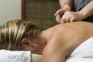 Kansha Natural Therapies Pic 5