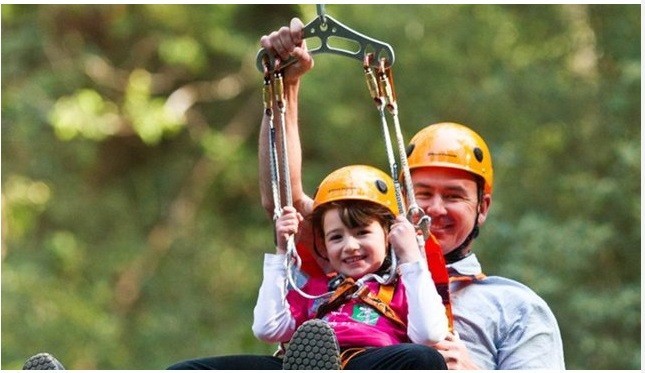 Illawarra Fly Treetop Walk Pic 1 - Zip across the forest canopy