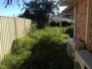 Auzzie Lawn Maintenance Pic 3