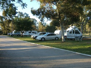 Peak Hill Caravan Park Pic 3 - Most powered sites are drive through for easy parking and we guide you in as well