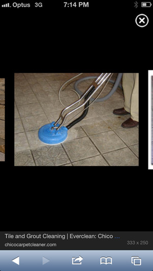 AUSSIE STYLE  CARPET CLEANING Pic 2