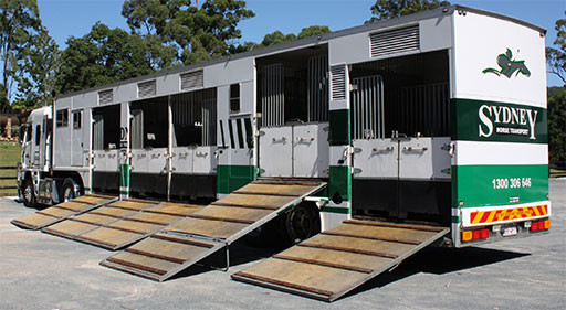 Brisbane Horse Transport Pic 1