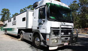 Brisbane Horse Transport Pic 3