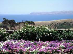 The Lookout Pic 1 - The Lookout Penneshaw Kangaroo Island South Australia