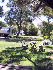 Millicent Hillview Caravan Park Pic 1 - Hillview Caravan Park Millicent Limestone Coast South Australia