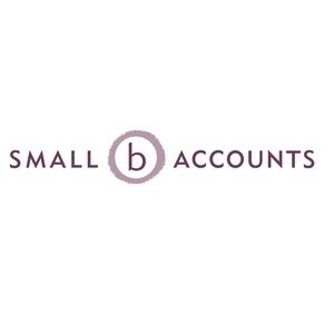 Small B Accounts Pic 1