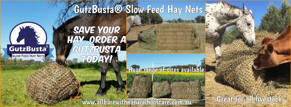 GutzBusta Hay Nets / All Bare with Natural Hoof Care Pic 1