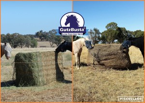 GutzBusta Hay Nets / All Bare with Natural Hoof Care Pic 2