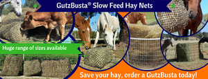 GutzBusta Hay Nets / All Bare with Natural Hoof Care Pic 3