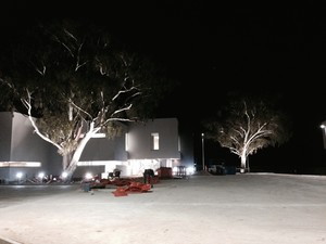 Groot Electrical Pic 4 - outside garden lighting illuminating these beautiful gum trees