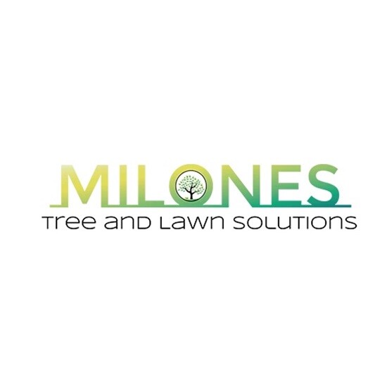 Milone's Tree & Lawn Solutions Pic 1