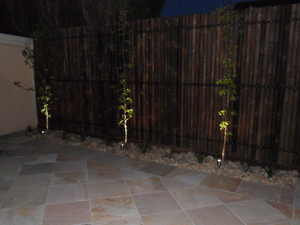 RD  Electrics Pic 3 - Bringing a garden to life at night