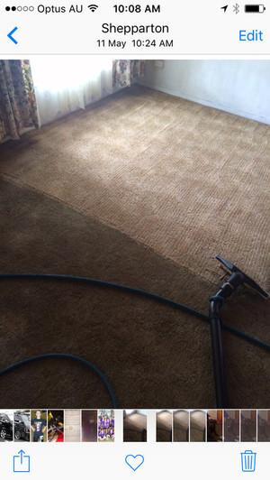 Mooroopna Carpet Cleaning Service Pic 2