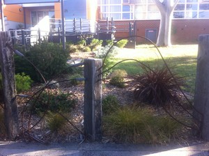 T G Design Pic 5 - school landscaping