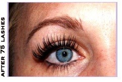 Lash Labs Pic 1