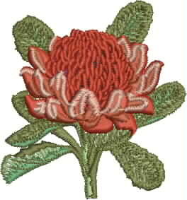 Jervis Bay Embroidery Pic 4 - Waratah