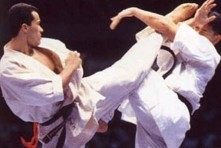 Hawkesbury Karate - Kyokushin Pic 4 - Adults Teens Karate Classes