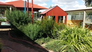 Amy Hurd Early Learning Centre Pic 5 - Native gardens to explore