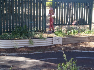 Amy Hurd Early Learning Centre Pic 2 - We grow and then eat some of our own food