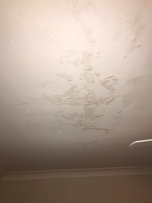 O'meara Property Pic 5 - Ceiling Cracks