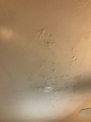 O'meara Property Pic 4 - Wet Ceiling