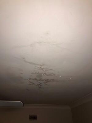 O'meara Property Pic 3 - Water Drops from Ceiling